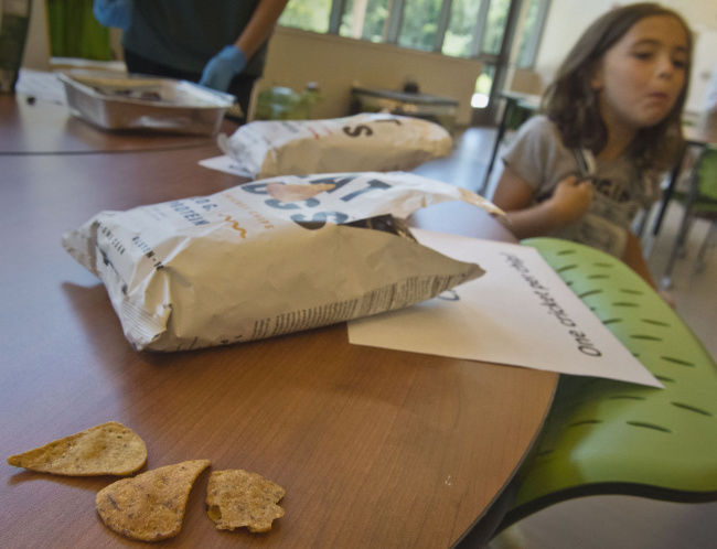 Insects on lunch menu at nature center